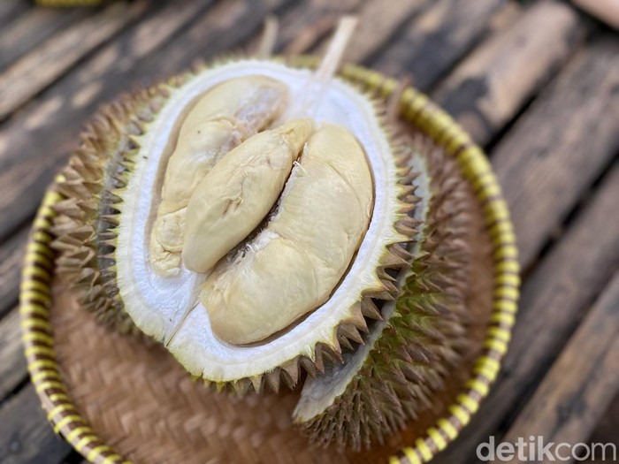 Kang Duren