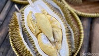 Untuk yang lokal, ada durian sapi dari Banyuwangi. Durian ini memiliki karakteristik rasa yang manis dan teksturnya creamy, lumer dan kering. Foto: detikcom