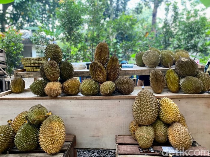 Kang Duren Kang Duren