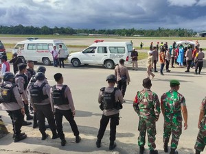 Penembakan KKB di Papua: Daftar Korban-Pengejaran Pelaku