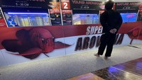 Event ini menghadirkan keanekaragaman ikan arwana yang berasal dari berbagai daerahdi Indonesia yang terbagi menjadi beberapa kelas S, M, L, King dan SB serta Unique dan beragam ukurannya dari 20 cm hingga 55 cm.
