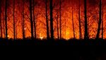 Potret Kebakaran Hutan di Prancis dari Atas