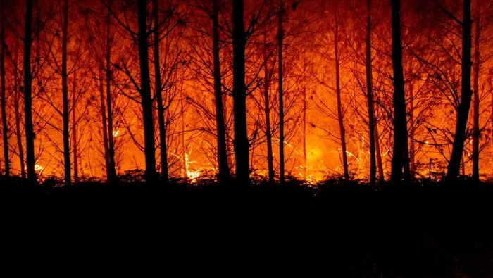 Smoke billows amid a fire that broke out near Landiras, as wildfires continue to spread in the Gironde region of southwestern France, in this handout picture taken July 16, 2022 and obtained from the fire brigade of the Gironde region (SDIS 33) on July 17, 2022. SDIS 33/Handout via REUTERS ATTENTION EDITORS - THIS IMAGE WAS PROVIDED BY A THIRD PARTY. NO RESALES. NO ARCHIVES. MANDATORY CREDIT.