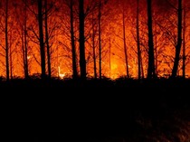 Kebakaran Hutan di Prancis Lalap 11 Ribu Hektare, 1 Warga Tewas