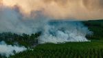 Potret Kebakaran Hutan di Prancis dari Atas