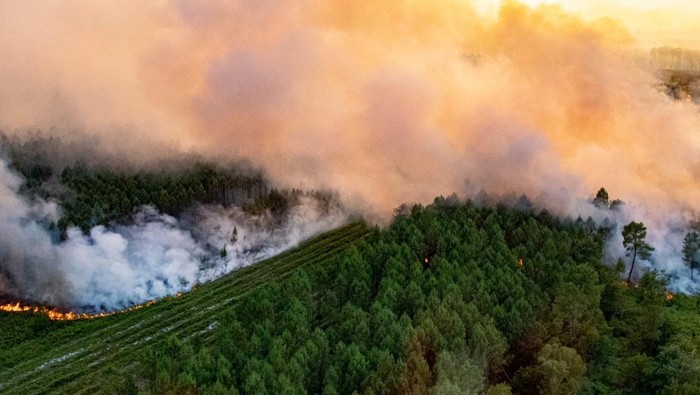Smoke billows amid a fire that broke out near Landiras, as wildfires continue to spread in the Gironde region of southwestern France, in this handout picture taken July 16, 2022 and obtained from the fire brigade of the Gironde region (SDIS 33) on July 17, 2022. SDIS 33/Handout via REUTERS ATTENTION EDITORS - THIS IMAGE WAS PROVIDED BY A THIRD PARTY. NO RESALES. NO ARCHIVES. MANDATORY CREDIT.