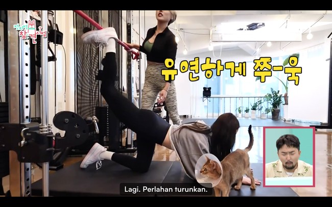 Dalam acara televisi The Manager, Karina aespa terlihat fokus saat melatih kekuatan tubuh bagian bawah. Dia melanjutkan sesi olahraga dengan planking. Dengan keadaan salah satu kakinya mengangkat beban. Foto: dok. Viu