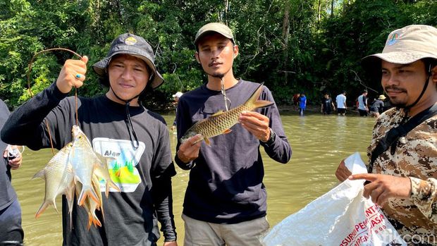Tradisi bongkar lubuk larangan di Kampar, Riau.