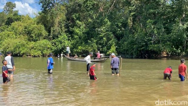 Tradisi bongkar lubuk larangan di Kampar, Riau.