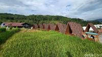 Wahana Alam Parung bisa disebut sebagai destinasi sempurna dengan biaya ekonomis. Untuk tiket masuk, para pengunjung hanya perlu membayar Rp 20.000 (Senin-Jumat) dan Rp 25.000 (Sabtu-Minggu). (Dhani Irawan/detikTravel)