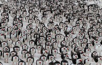 Audobon Photography Awards 2022