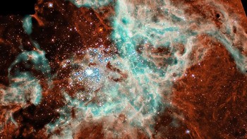Panorama mozaik ini merupakan bintang 30 Dorabus. Lanskap gas dan debu ini diabadikan menggunakan teleskop Hubble.