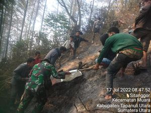 Kebakaran Hutan di Taput Menelan Korban Jiwa