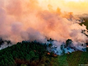 Kebakaran Hutan di Prancis-Spanyol Meluas, Ribuan Orang Dievakuasi