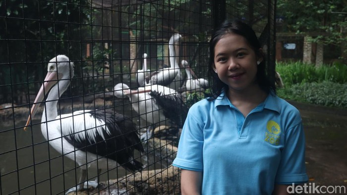 Luvita Sari, pawang di Kebun Binatang Bandung.