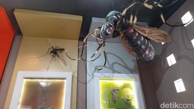 Museum Nyamuk di Pangandaran.