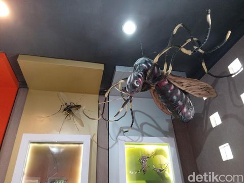 Museum Nyamuk di Pangandaran.