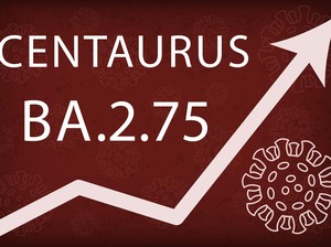 Kabar Kurang Enak Buat Alumni COVID, Ini Kata Ahli Virus soal Centaurus