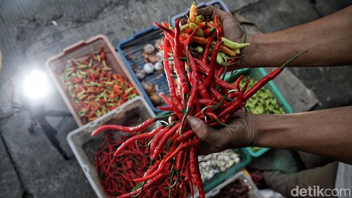 Harga kebutuhan pokok seperti daging, ayam potong, cabai hingga buah masih tinggi di Pasar Kelapa Gading Timur, Jakut. Para pedagang pun tetap mencoba bertahan di tengah tingginya harga.