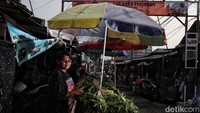 Wira, seorang pedagang bayam mengaku penjualan sayur masih stabil sejak pandemi. Hal itu karena sayur dibutuhkan orang banyak untuk daya tahan.