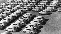 Sekitar tahun 1950, VW Beetle terlihat diproduksi massal.