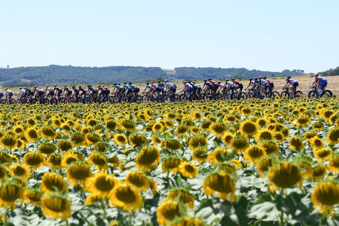 CARCASSONNE, FRANCE - JULY 17: Tadej Pogacar of Slovenia and UAE Team Emirates white best young jersey (R) congratulates Jasper Philipsen of Belgium and Team Alpecin-Fenix (L) stage winner during the 109th Tour de France 2022, Stage 15 a km stage from Rodez to Carcassonne / #TDF2022 / #WorldTour / on July 17, 2022 in Carcassonne, France. (Photo by Tim de Waele/Getty Images)
