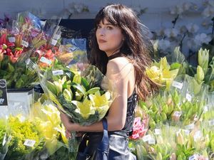 Potret Dakota Johnson di Toko Kembang, Bunganya Kalah Cantik!