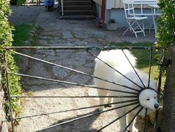 Aksi Unik Hewan yang Terekam Kamera Bikin Ngakak Geleng-geleng