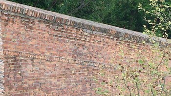 Panjat dinding. Foto: Instagram.com/thesnuggleisrl