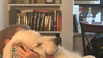 Ngantuk berat. Foto: Instagram.com/thesnuggleisrl