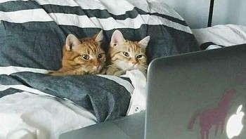 Nobar film. Foto: Instagram.com/thesnuggleisrl