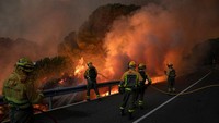 Layanan darurat berupaya memadamkan beberapa titik kebakaran hutan karena Spanyol bagian tengah sedang dilanda gelombang panas luar biasa dengan suhu mencapai 43 derajat Celcius.  