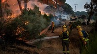 Kebakaran hutan di Spanyol dilaporkan semakin meluas hingga mendekati kota El Hoyo de Pinares.  
