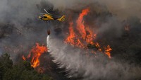Kebakaran di pegunungan Mijas, di pedalaman kota pesisir selatan Malaga dimulai pada hari Jumat (15/07). Kebakaran hutan ini memaksa 3.000 orang untuk dievakuasi.  