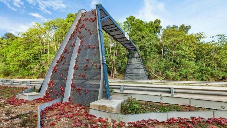 Deretan Foto Infrastruktur yang Bikin Mata Tercengang Deretan Foto Infrastruktur yang Bikin Mata Tercengang