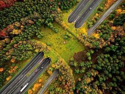 Kumpulan Foto Infrastruktur yang Bikin Iri, Kapan Indonesia Punya
