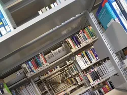 Deretan Foto Ini Bikin yang Melihat Kebingungan Sendiri