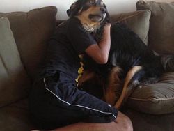 Deretan Foto Ini Bikin yang Melihat Kebingungan Sendiri