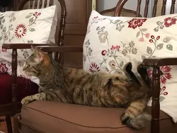 Deretan Foto Ini Bikin yang Melihat Kebingungan Sendiri