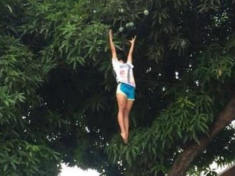 Kocak! 10 Aksi Nekat Netizen Petik Buah Bikin Tepuk Jidat