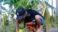 Latihan untuk 17 Agustusan nanti, dua warga ini tampak kompak. Tetapi untuk mendapatkan pepaya dari pohon yang pendeknya seperti bisa dilakukan walaupun hanya sendirian. Foto: 1cak.com