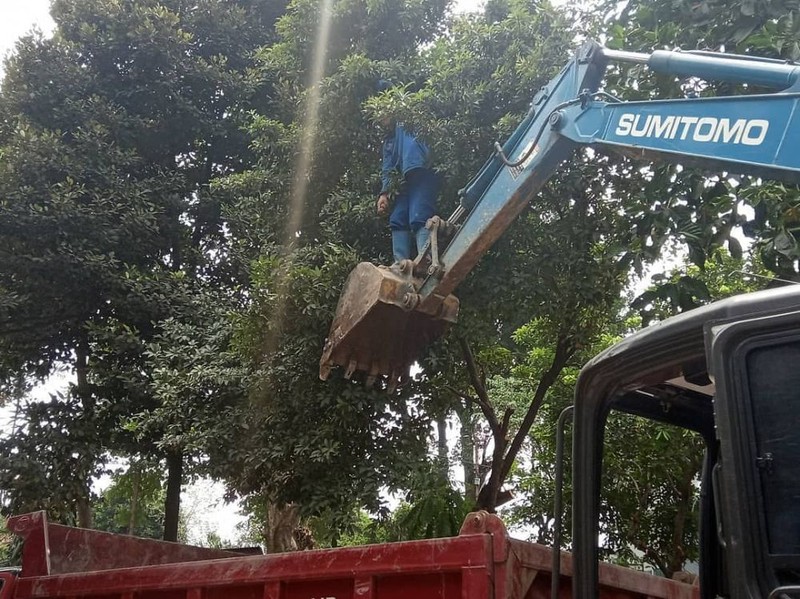 Galeri petik buah