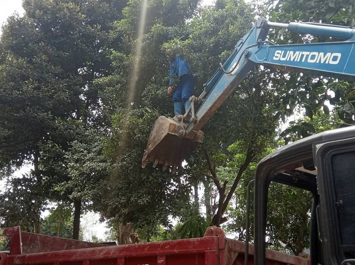 Galeri petik buah Galeri petik buah