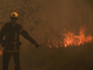 Panas Bak Kiamat di Eropa, Ladang Terbakar-Puluhan Ribu Orang Diungsikan