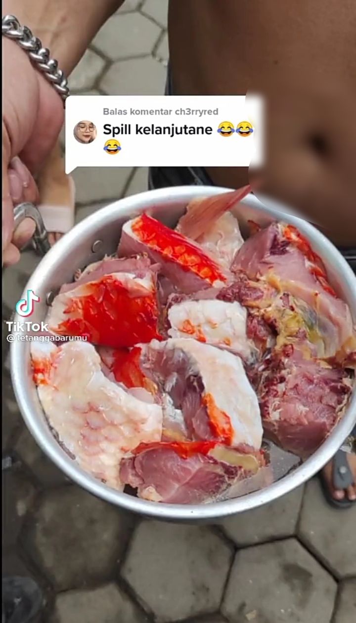 Duh! Ikan Koi Kohaku Titipan Seharga Rp 10 Juta Ini Berakhir di Panci