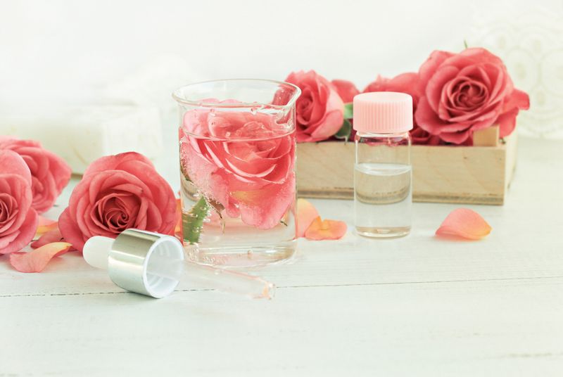 Ilustrasi Air Mawar Aromatic and chemical-free morning cleansing freshness. Soft focus and light.