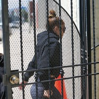 Keluar dari mobil, J.Lo, begitu ia akrab disapa, memakai pakaian olahraga serba hitam. Untuk atasan, cropped hoodie menjadi andalan ibu dua anak itu. Ia lalu memadukannya dengan legging dan sneakers hitam. Tidak ketinggalan tas Hermes Birkin berukuran besar. (Foto: GC Images/Bellocqimages/Bauer-Griffin)