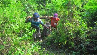 Puluhan warga turut membantu proses pencarian serpihan badan pesawat tempur T50i Golden Eagle yang jatuh di hutan KPH Cepu, tepatnya Desa Nginggil, Kecamatan Kradenan, Kabupaten Blora, Jawa Tengah.