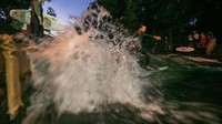 Sungai ini dikenal dengan sebutan ombak tunggal (standing wave) dan jadi tujuan para peselancar untuk surfing.  
