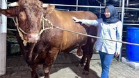Ia juga istri dari Putra Siregar, pemilik PS Store yang terkenal itu. Momen Septia saat menjelaskan tentang perkara yang membelit usahanya itu langsung menuai pro kontra. Foto: Instagram @septiasiregar17